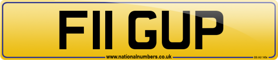 F11 GUP