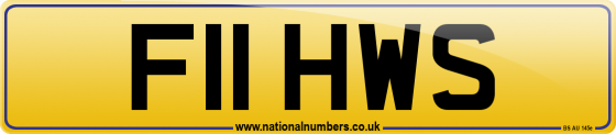 F11 HWS
