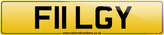 F11 LGY