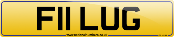F11 LUG