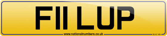 F11 LUP