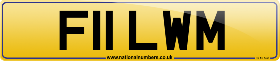 F11 LWM