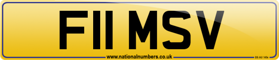 F11 MSV