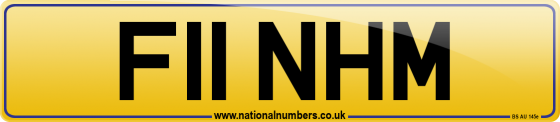 F11 NHM