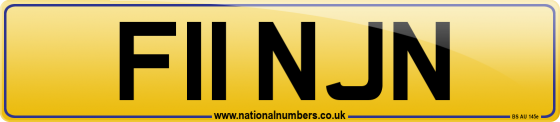 F11 NJN