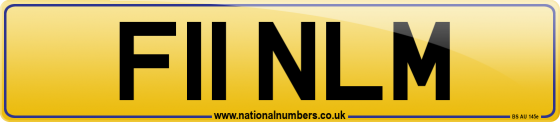 F11 NLM