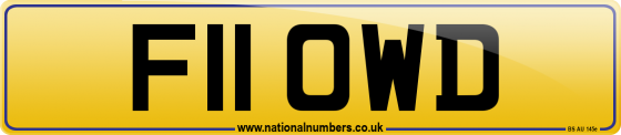 F11 OWD