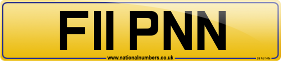 F11 PNN