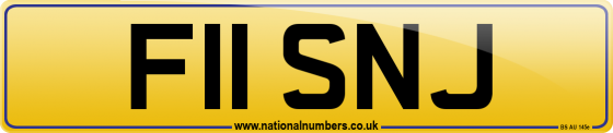 F11 SNJ