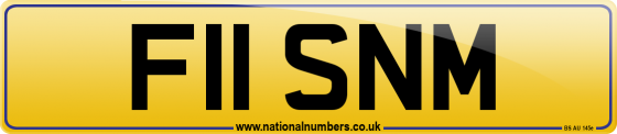 F11 SNM