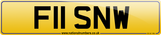F11 SNW