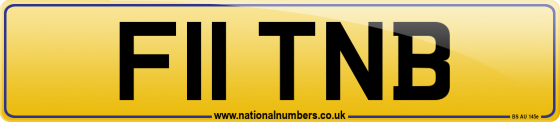 F11 TNB