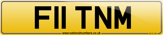 F11 TNM