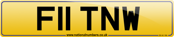 F11 TNW