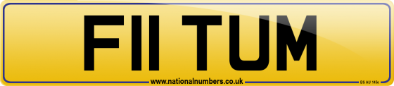 F11 TUM