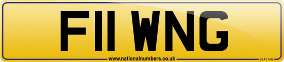 F11 WNG