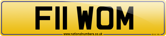 F11 WOM