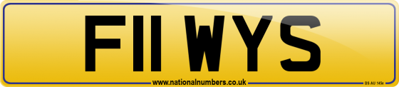 F11 WYS