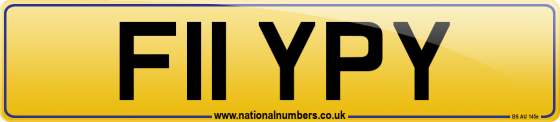 F11 YPY