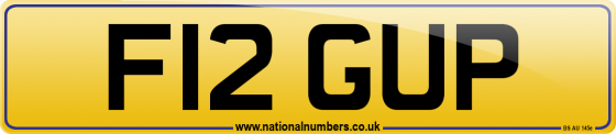 F12 GUP