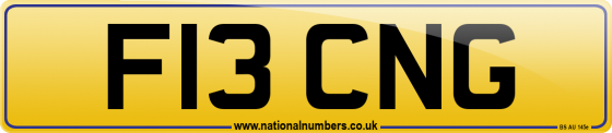 F13 CNG