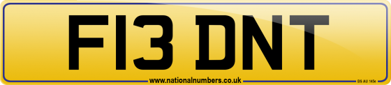 F13 DNT