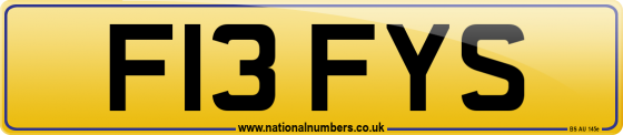 F13 FYS