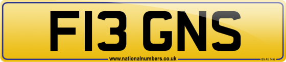 F13 GNS