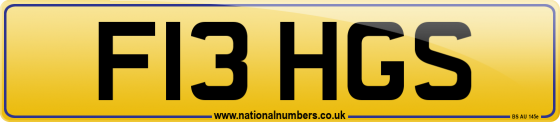 F13 HGS