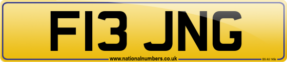 F13 JNG