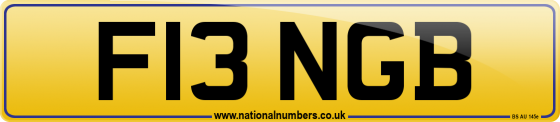 F13 NGB