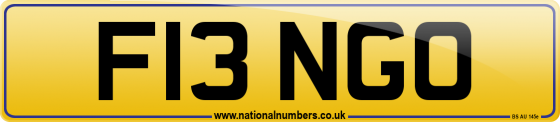 F13 NGO