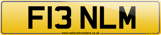 F13 NLM