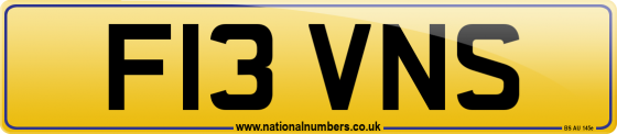 F13 VNS