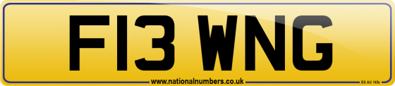 F13 WNG