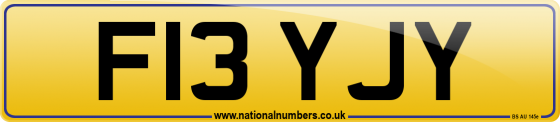 F13 YJY