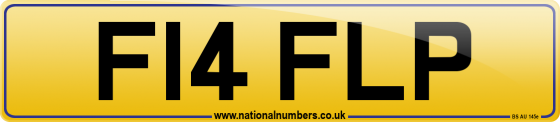 F14 FLP