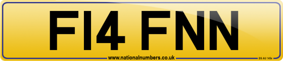 F14 FNN