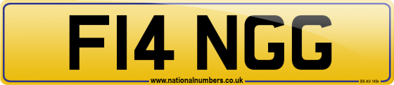 F14 NGG