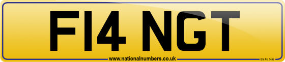 F14 NGT