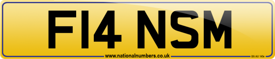F14 NSM
