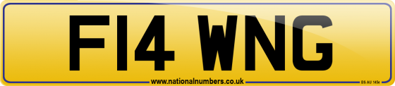 F14 WNG