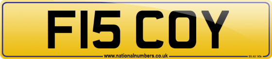 F15 COY
