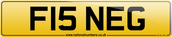 F15 NEG