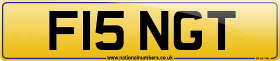 F15 NGT