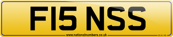F15 NSS