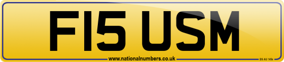 F15 USM