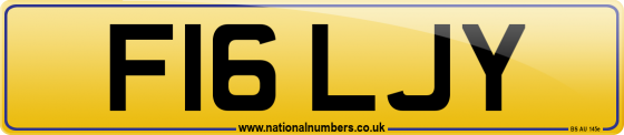 F16 LJY