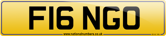 F16 NGO