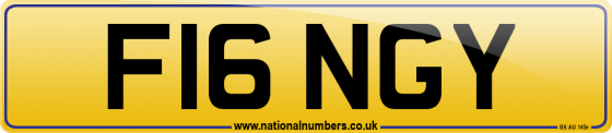 F16 NGY